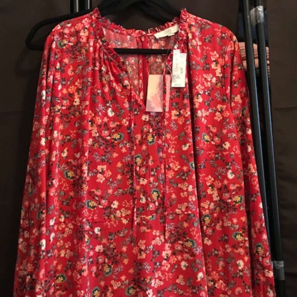 Red floral dress from the LOFT, size 20